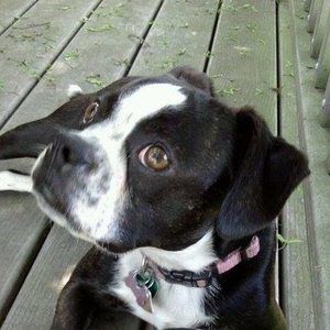 Meet your Posher, Lynn